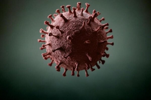 Avian Influenza (H5N1) situation in India
